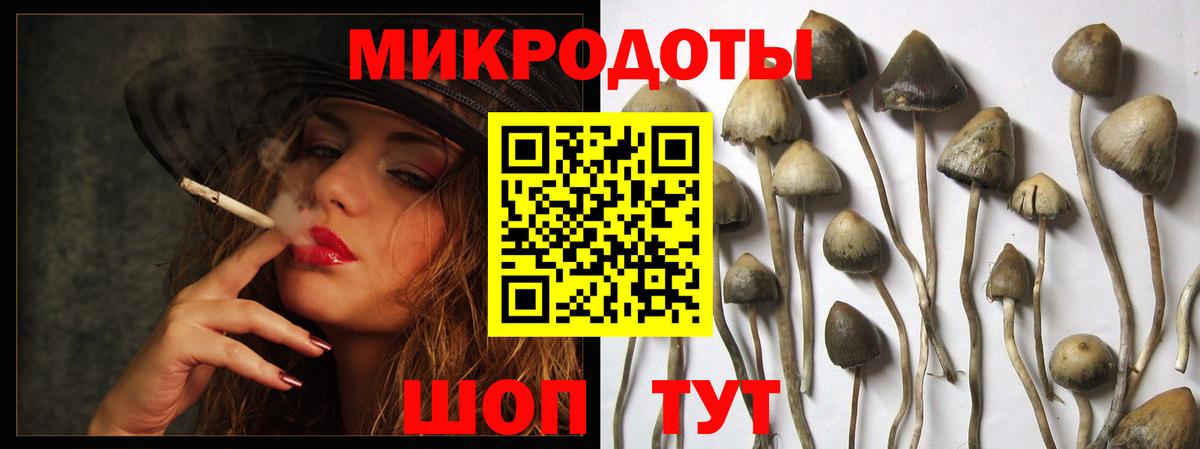 Галлюциногенные грибы Magic Shrooms Южно-Сахалинск