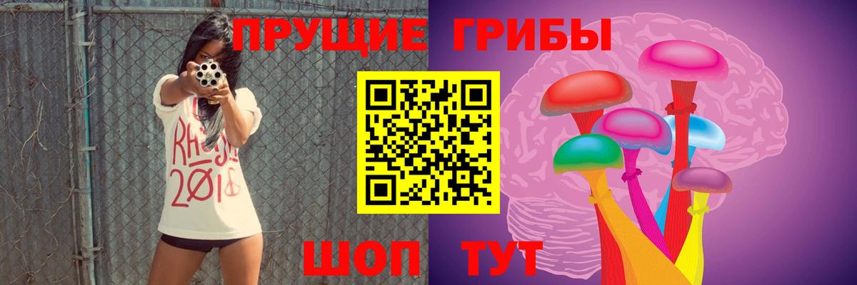 где продают наркотики  Псилоцибиновые грибы мухоморы  Галлюциногенные грибы GOLDEN TEACHER  Вход с VPN  Южно-Сахалинск 